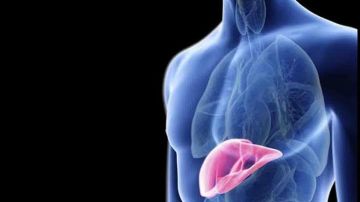 الكبد الدهني الصامت تهديد حقيقي لحياتك .. اعرف الأعراض المبكرة