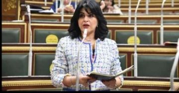 نائبة: من يريد دعم فلسطين حقا عليه أن يقف إلى جانب الجهد المصرى الصادق