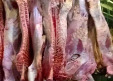 اللحمة بـ320 جنيها بمنافذ وزارة التموين (تفاصيل)