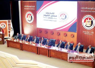  صقر وأسد وعنقود عنب .. رموز مرشحي اليوم الثاني لمجلس الشيوخ في الإسكندرية