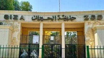 موعد افتتاح حديقة الحيوان رسميا.. سعر التذكرة كام؟