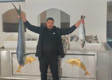 البطارخ الأغلى بـ650 جنيها.. أسعار الأسماك والمأكولات البحرية في مطروح اليوم الأربعاء 30 يوليو 2025