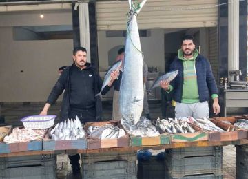 البلطي الأسواني بـ90 جنيها.. أسعار السمك والمأكولات البحرية بأسواق الإسكندرية اليوم 21 يوليو 2025 البلطي الأسواني بـ90 جنيها.. أسعار السمك والمأكولات البحرية بأسواق الإسكندرية اليوم 21 يوليو 2025