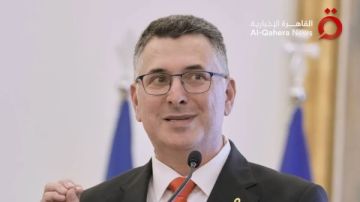 وزير الخارجية الإسرائيلي: وجهنا بإرسال مساعدات للدروز في السويداء