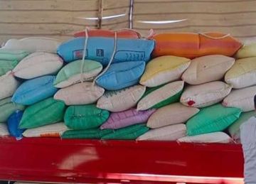 توريد 600.4 ألف طن قمح لصوامع وشون الشرقية منذ بداية الموسم توريد 600.4 ألف طن قمح لصوامع وشون الشرقية منذ بداية الموسم