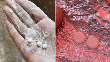 جريمة حرب جديدة.. غضب عارم لاكتشاف حبوب مخدرة في مساعدات غزة