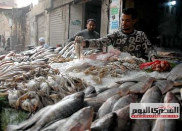 بورصة أسعار السمك والمأكولات البحرية بأسواق الإسكندرية اليوم 15 أغسطس 2025
