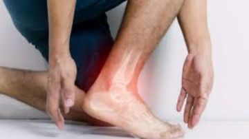 نوع من النبات عند العطار يقضي على آلام المفاصل والإلتهابات