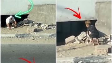 كشف وكر عصابة الثقب الأسود.. سقوط شبكة استغلال أطفال في قبضة الأمن