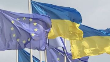 26 من قادة أوروبا لـ ترامب: أوكرانيا لن تتخلى عن أراضيها