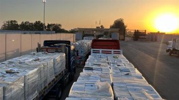 الهلال الأحمر يدفع 2300 طن مساعدات غذائية وطبية إلى غزة الهلال الأحمر يدفع 2300 طن مساعدات غذائية وطبية إلى غزة