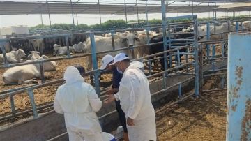 الزراعة تصدر 751 ترخيص تشغيل جديد لأنشطة ومشروعات الإنتاج الحيواني والداجني