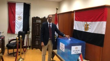 تواصل عملية تصويت المصريين بالخارج في انتخابات الإعادة بالشيوخ