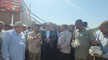 فتح في غيطان الصعيد.. الزراعة تكشف إجمالى المساحات المنزرعة بالقطن على مستوى الجمهورية فتح في غيطان الصعيد.. الزراعة تكشف إجمالى المساحات المنزرعة بالقطن على مستوى الجمهورية