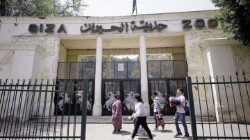 تأجيل افتتاح حديقة الحيوان لعدم الانتهاء من أعمال التطوير