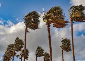 بشائر الخريف .. بيان مهم بشأن حالة الطقس غدا: أمطار والصغرى بالقاهرة 24 درجة  بشائر الخريف .. بيان مهم بشأن حالة الطقس غدا: أمطار والصغرى بالقاهرة 24 درجة