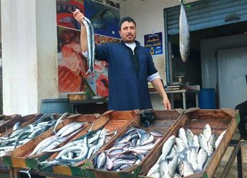 سعر السمك البلطي والسردين والجمبري بالأسواق اليوم الأحد 31 أغسطس 2025