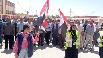 سلامة: الدعوة لإلغاء مجلس الشيوخ خاطئة وتنتقص من التجربة الديمقراطية