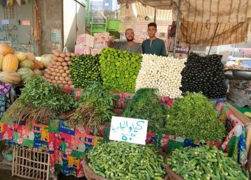 أسعار الخضروات اليوم الخميس 28 أغسطس 2025 بأسواق الأقصر