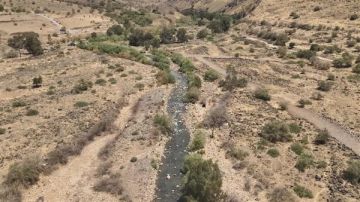 40 مليون دولار خسائر الموسم.. جفاف عشرات الآلاف من الأفدنة في إسرائيل 40 مليون دولار خسائر الموسم.. جفاف عشرات الآلاف من الأفدنة في إسرائيل