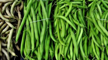 سلامة الغذاء: الفاصوليا تتصدر صادرات الخضار المصرية