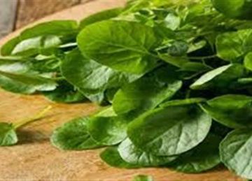  للرجال.. ليه لازم تاكل جرجير؟ 6 فوائد مذهلة