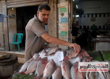 أسعار السمك والمأكولات البحرية الشعبية بأسواق الإسكندرية اليوم السبت 23 أغسطس 2025