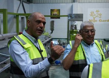 خبير صناعات غذائية: كيف تسيطر مصر علي سوق الزيتون دوليا ؟ خبير صناعات غذائية: كيف تسيطر مصر علي سوق الزيتون دوليا ؟