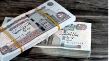 كيفية اشتراك سن 45 عاما في نظام التأمينات الاجتماعية