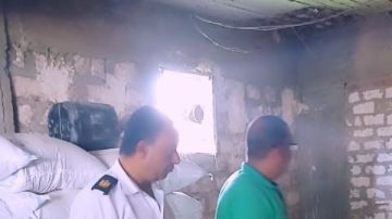 بعد ضبط مخزنين للأعلاف المغشوشة في سوهاج..الحبس 5 سنوات عقوبة غش الأغذية