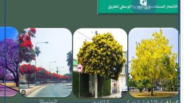 تفاصيل توسعة أقدم طريق في محافظة الإسكندرية .. صور