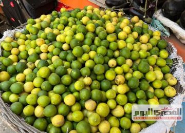 سعر البصل والطماطم والخضار بالأسواق اليوم الأربعاء 20 أغسطس 2025