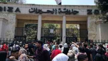 التذكرة أقل من 400 جنيه.. موعد افتتاح حديقة الحيوان والأسعار