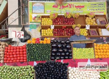 كيلو البصل بـ 15 جنيها.. أسعار الخضروات في أسواق مطروح اليوم الأربعاء 27 أغسطس 2025