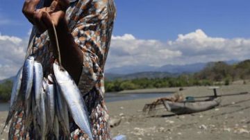 إطلاق مليون يرقة جمبري جديدة ببحيرة قارون ضمن خطة لإعادة تأهيلها إطلاق مليون يرقة جمبري جديدة ببحيرة قارون ضمن خطة لإعادة تأهيلها