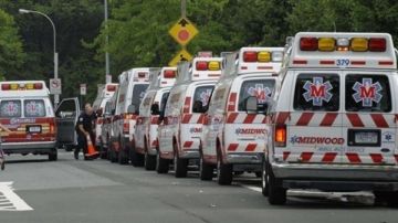 تحذيرات أمريكية بعد اكتشاف خفافيش ناقلة لداء الكلب في أكثر من 30 ولاية