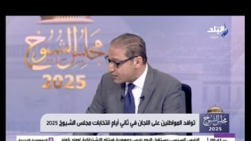 إسلام عفيفي: الديمقراطية في مصر تتطور رغم الصعوبات.. وانتخابات الشيوخ تؤكد قوة الدولة