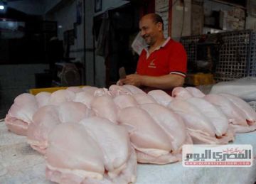  الفراخ البيضاء بـ76 جنيها .. تراجع أسعار الدواجن والطيور بأسواق الإسكندرية الثلاثاء 5 أغسطس 2025