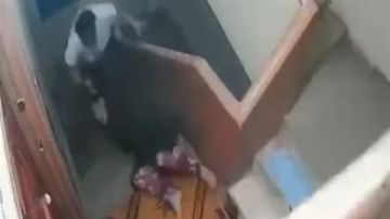 فيديو سيدة الشرقية يثير الجدل على منصات التواصل.. ما هي قصته؟