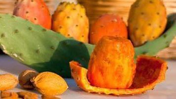 لعشاق التين الشوكي .. جربوا طريقة تحويله لآيس كريم