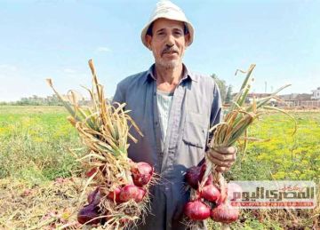 أسعار الخضار اليوم الخميس 21 أغسطس 2025 في أسواق مطروح أسعار الخضار اليوم الخميس 21 أغسطس 2025 في أسواق مطروح