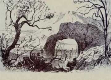  لو أنت ذكي ولماح .. اعثر على الحيوانات الـ 10 المخفية