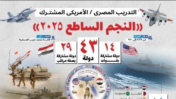 أكثر من 8 آلاف مقاتل يشاركون في تدريبات النجم الساطع 2025 بقاعدة محمد نجيب