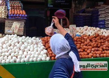 ارتفاع أسعار البيض في الأسواق.. وشعبة الدواجن: لا أسباب واضحة للزيادة ارتفاع أسعار البيض في الأسواق.. وشعبة الدواجن: لا أسباب واضحة للزيادة
