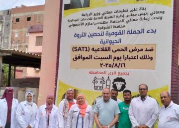 انطلاق الحملة القومية الطارئة للتحصين ضد مرض الحمى القلاعية في الشرقية