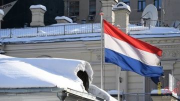 هولندا تعتذر عن حادث السفارة المصرية في لاهاي: سنكثف الإجراءات الأمنية هولندا تعتذر عن حادث السفارة المصرية في لاهاي: سنكثف الإجراءات الأمنية