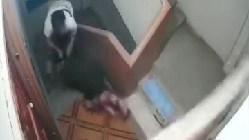 اعتداء صادم في الشرقية.. سحل سيدة على سلالم منزلها والفيديو ينتشر بسرعة البرق