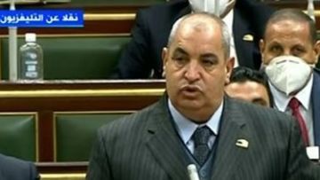 برلماني: مصر تمتلك فرصا كبيرة لتطوير صناعة الزبيب والكتان