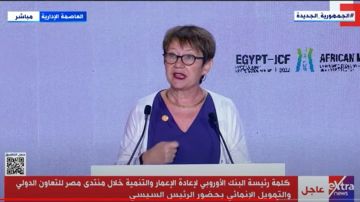 البنك الأوروبي: دعم الشركات الصغيرة والمتوسطة أولوية في استراتيجيتنا بمصر