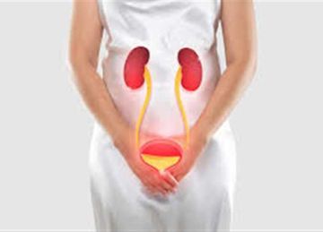 عادات يومية احذر منها.. الأسباب الشائعة للإصابة بالتهاب مجرى البول عادات يومية احذر منها.. الأسباب الشائعة للإصابة بالتهاب مجرى البول